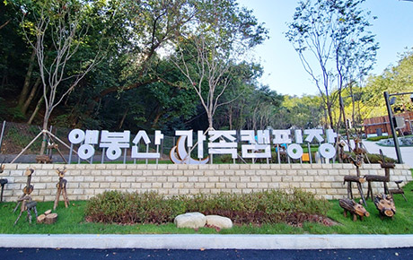 앵봉산가족캠핑장